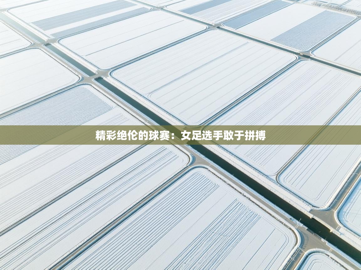 精彩绝伦的球赛：女足选手敢于拼搏  第1张