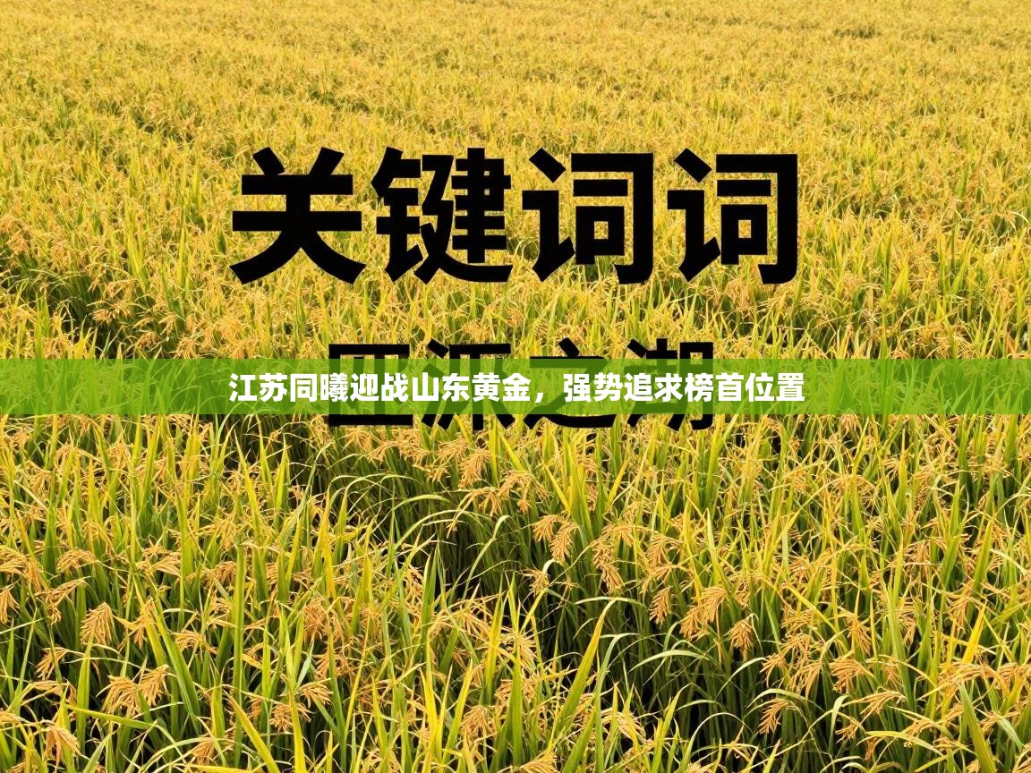 江苏同曦迎战山东黄金，强势追求榜首位置