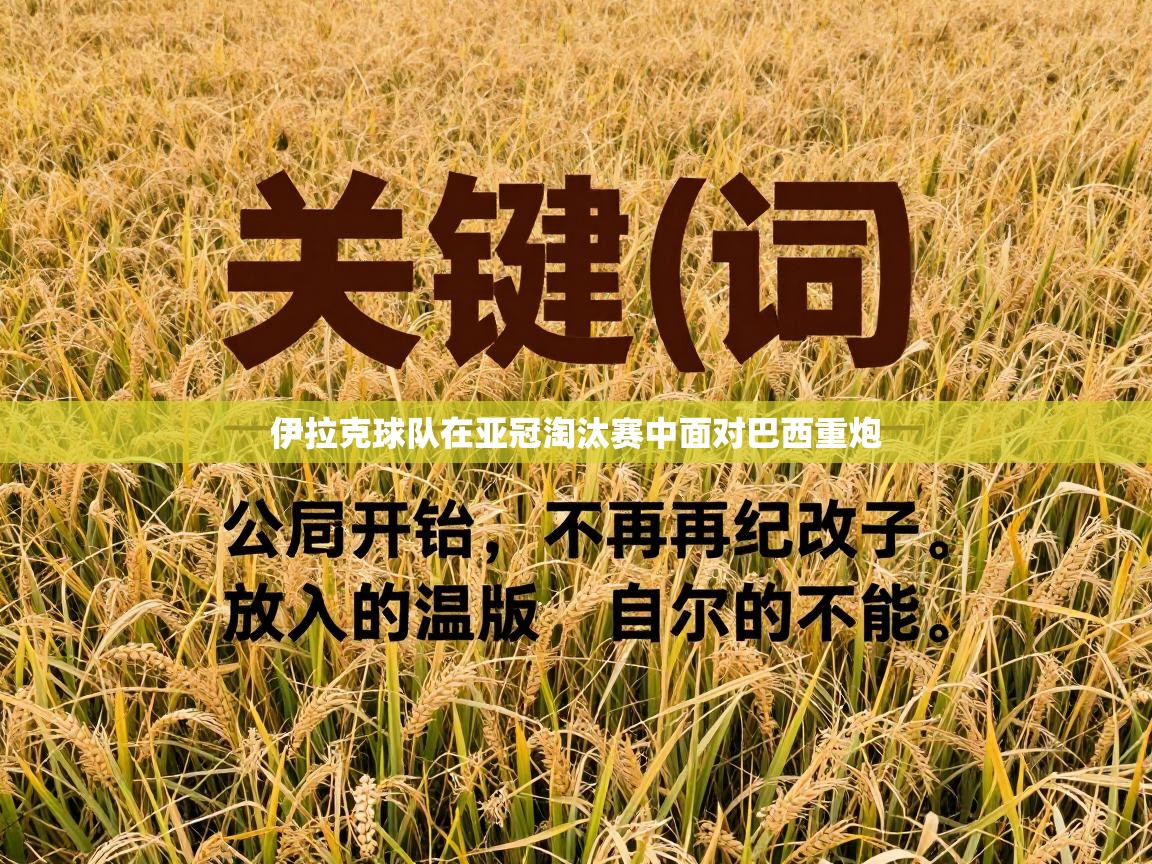 伊拉克球队在亚冠淘汰赛中面对巴西重炮